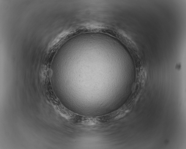 X0000114651157200912011105