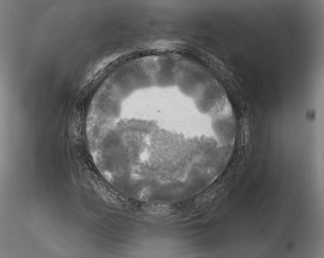 X0000114651158200912011105