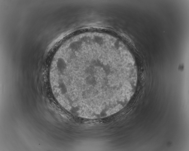 X0000114651159200912011105