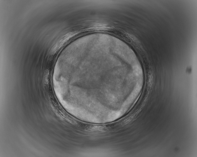 X0000114651161200912011105