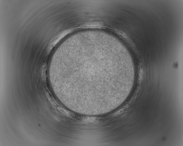 X0000114651162200912011105