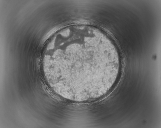 X0000114651163200912011105