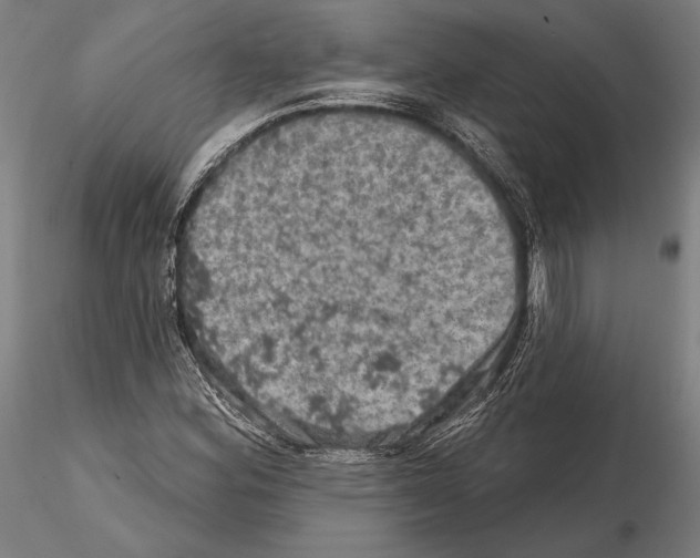 X0000114651164200912011105