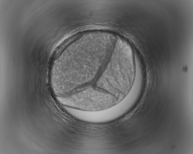 X0000114651165200912011105