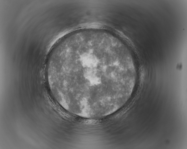 X0000114651166200912011105