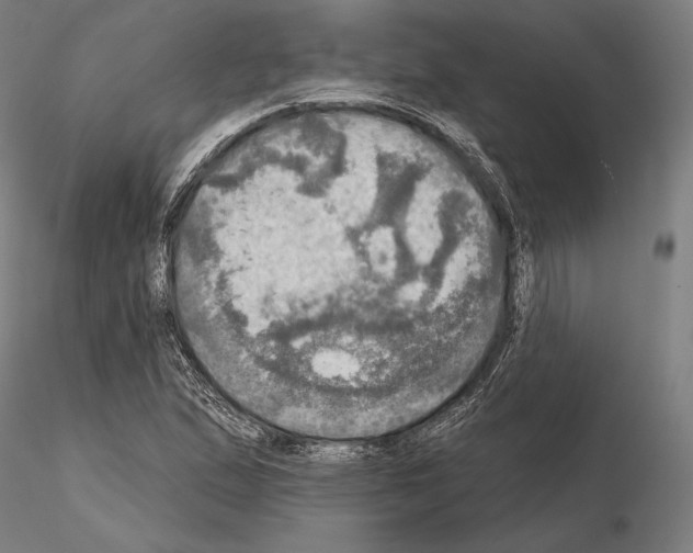 X0000114651167200912011105