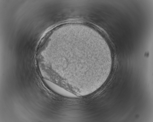 X0000114651168200912011105