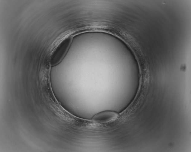 X0000114651169200912011105