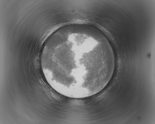 X0000114651170200912011105