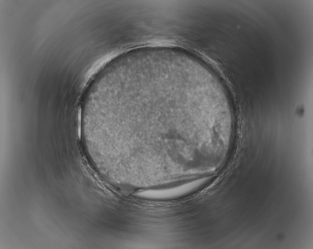 X0000114651171200912011105