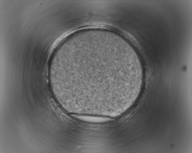 X0000114651172200912011105