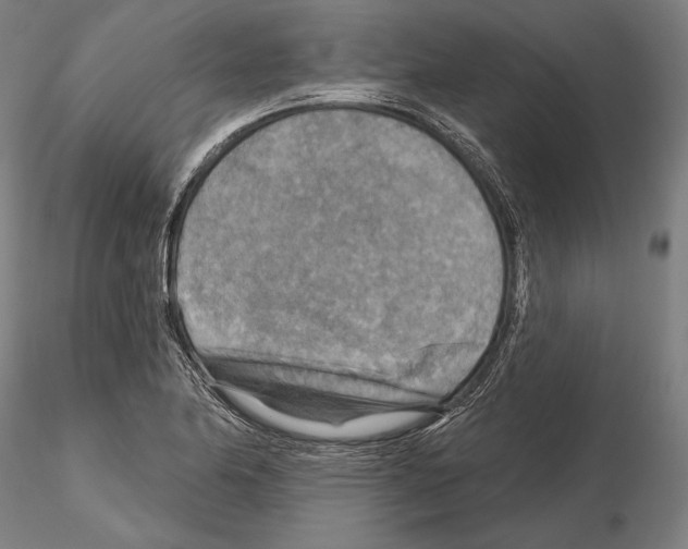 X0000114651174200912011105