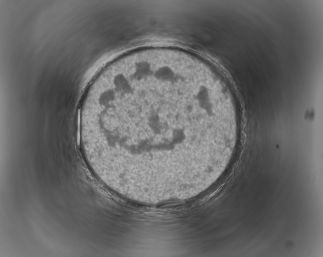 X0000114651175200912011105