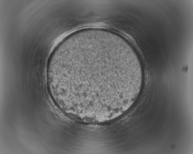 X0000114651176200912011105