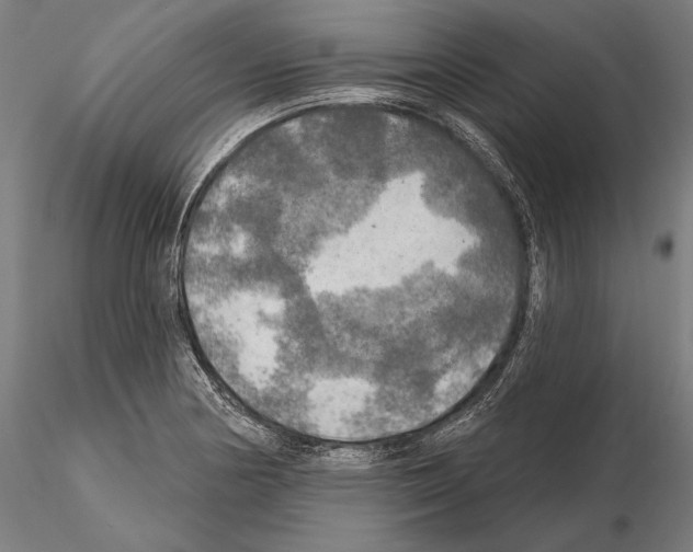 X0000114651178200912011105