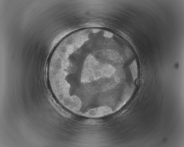 X0000114651179200912011105