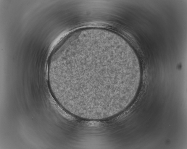 X0000114651180200912011105