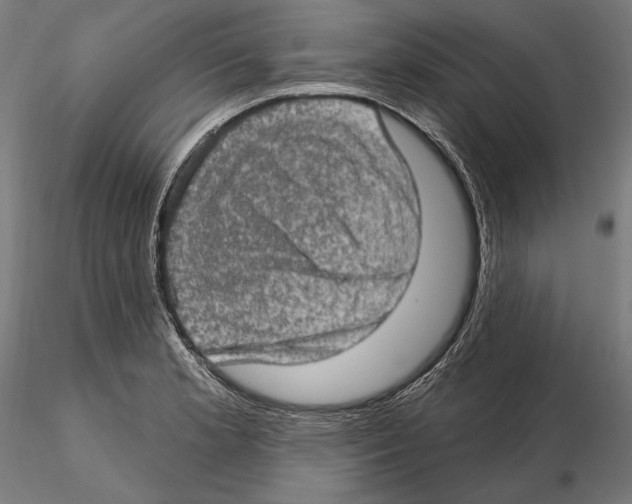 X0000114651181200912011105