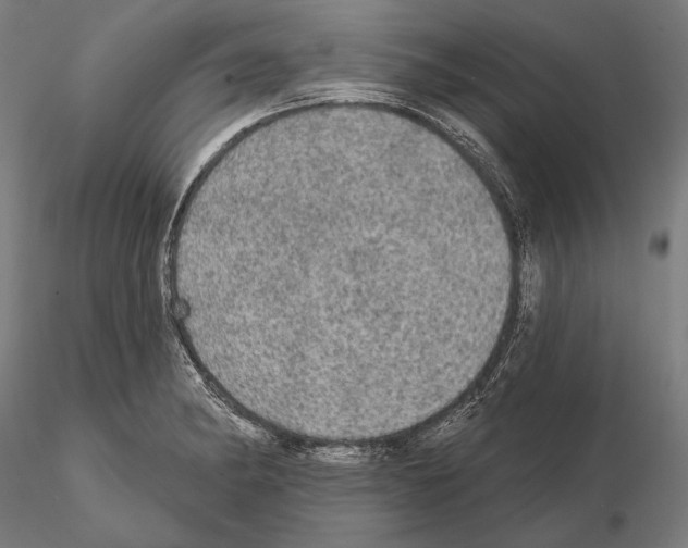 X0000114651182200912011105