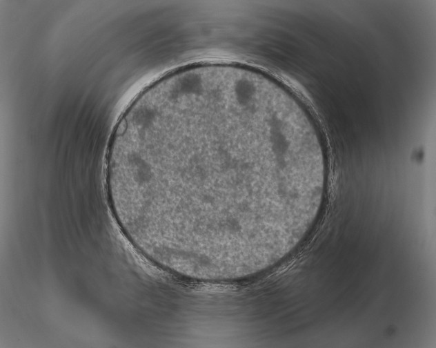 X0000114651183200912011105