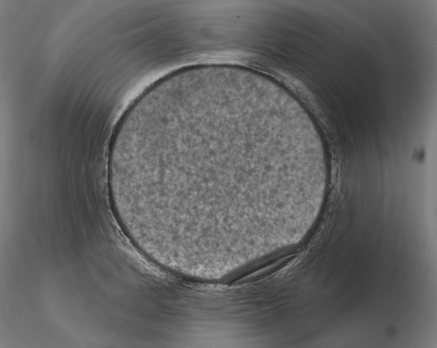 X0000114651184200912011105