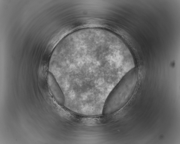 X0000114651185200912011105