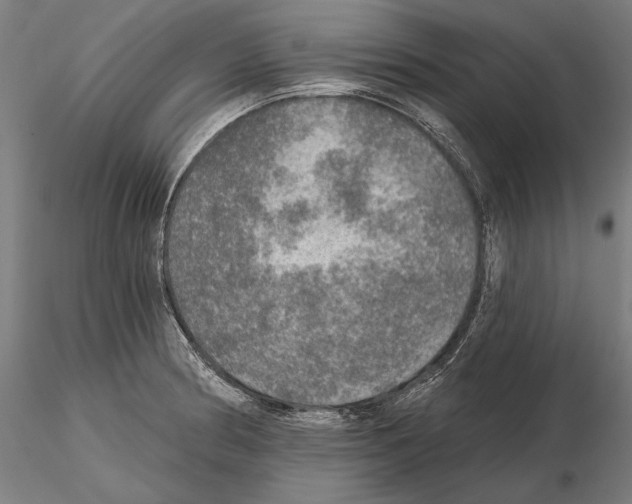 X0000114651186200912011105