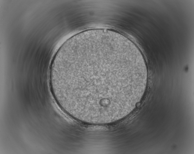 X0000114651187200912011105