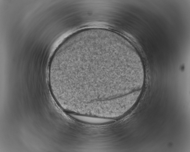 X0000114651188200912011105