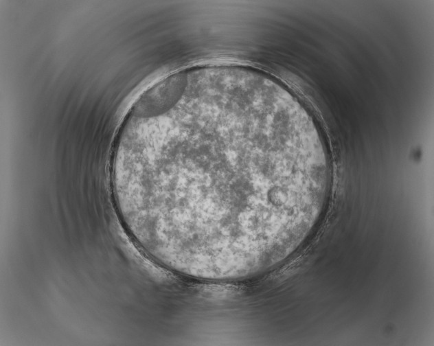 X0000114651189200912011105