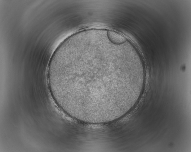 X0000114651190200912011105