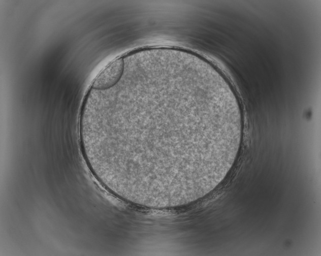 X0000114651191200912011105