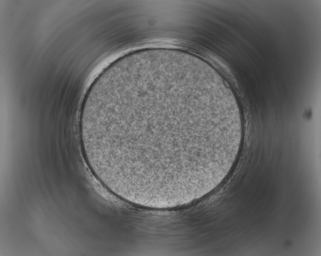 X0000114651192200912011105