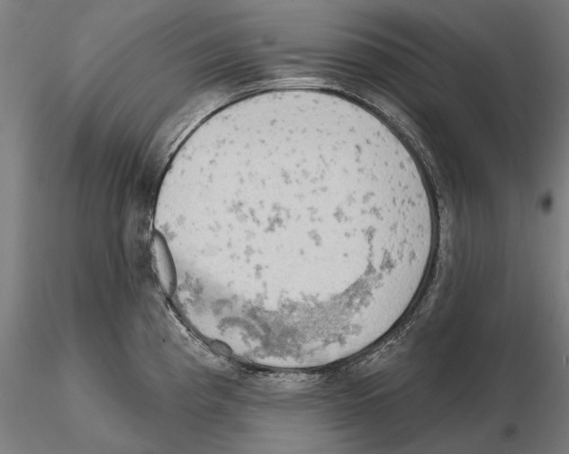 X0000114651193200912011105