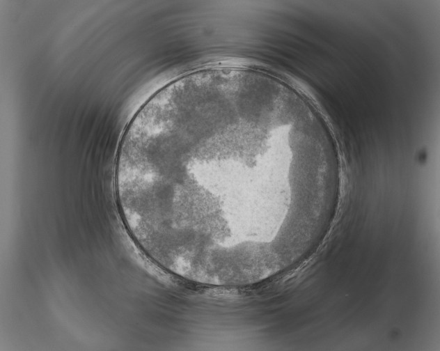 X0000114651194200912011105