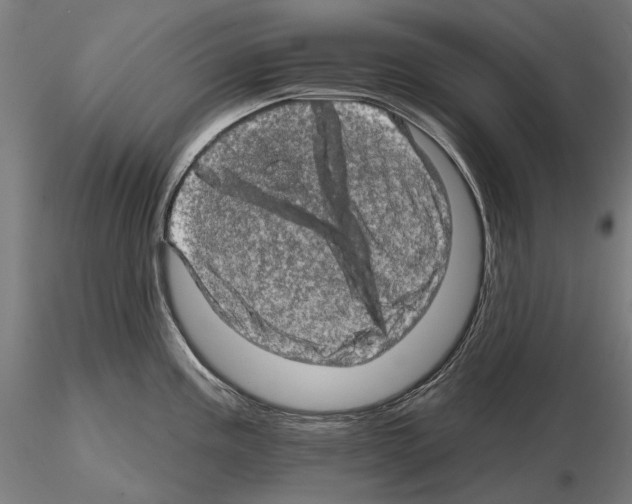 X0000114651195200912011105