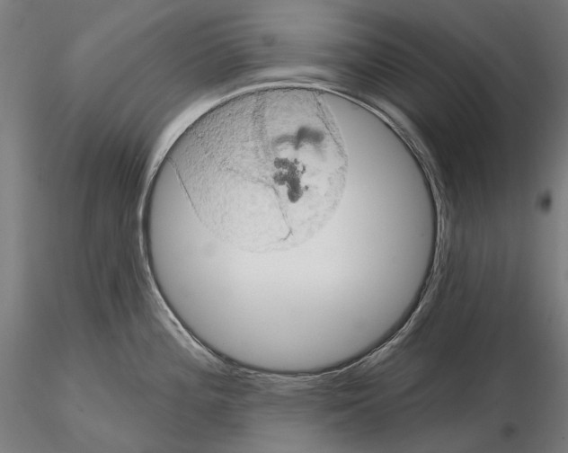 X0000114651196200912011105