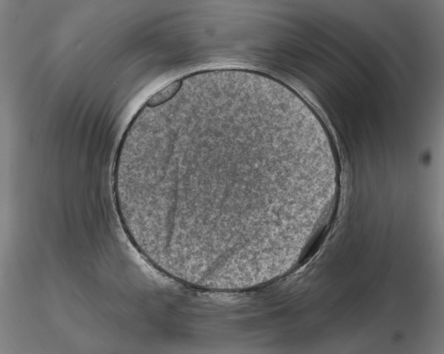 X0000114651197200912011105