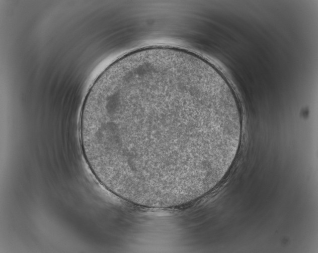 X0000114651199200912011105