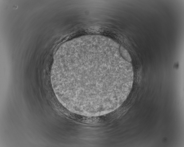 X0000114651201200912011104