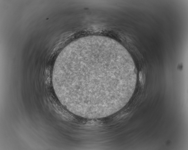 X0000114651203200912011104