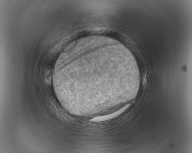 X0000114651204200912011104