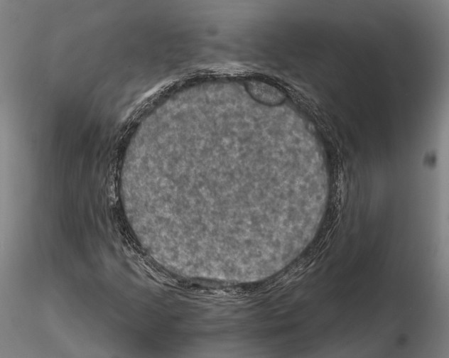 X0000114651205200912011104