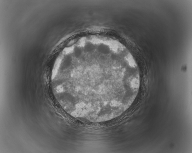 X0000114651206200912011104