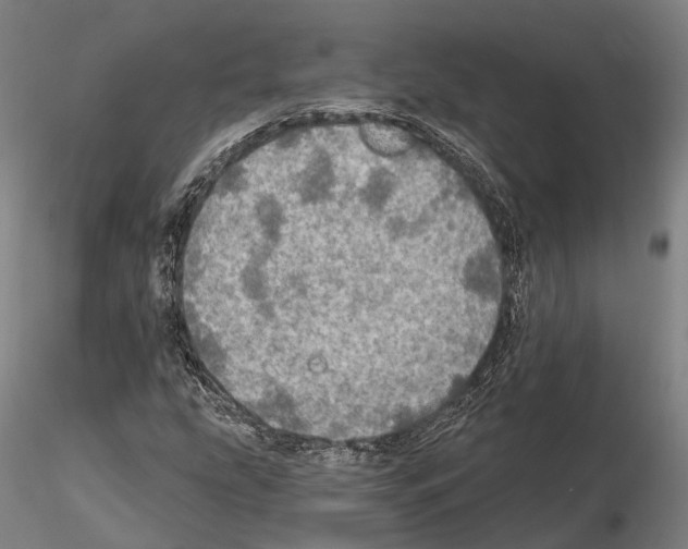 X0000114651207200912011104