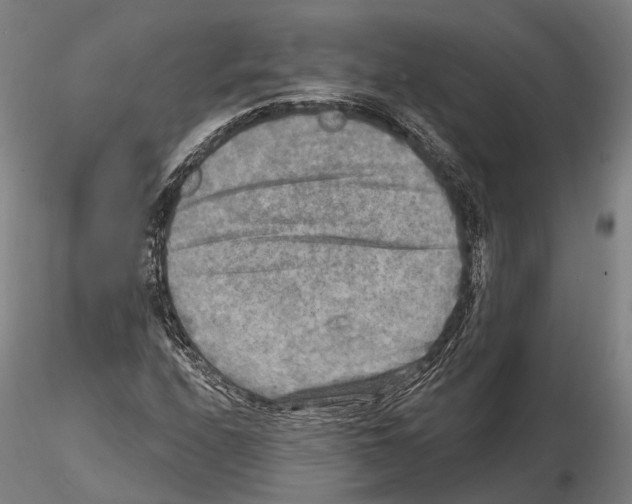 X0000114651208200912011104