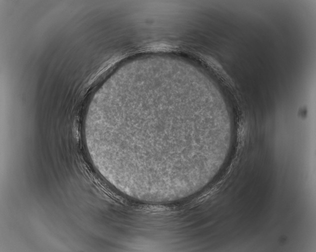 X0000114651209200912011104