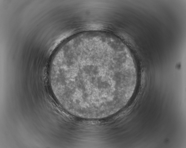 X0000114651210200912011104