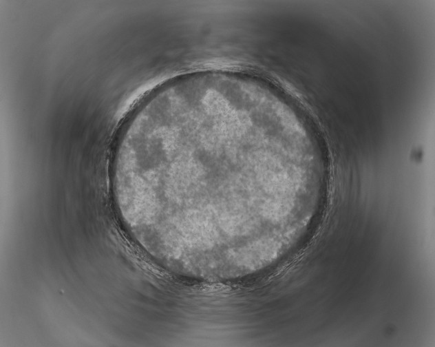 X0000114651214200912011104