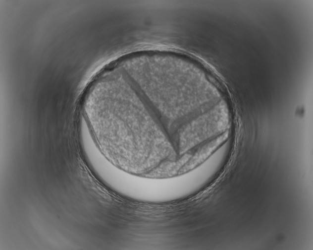 X0000114651215200912011104